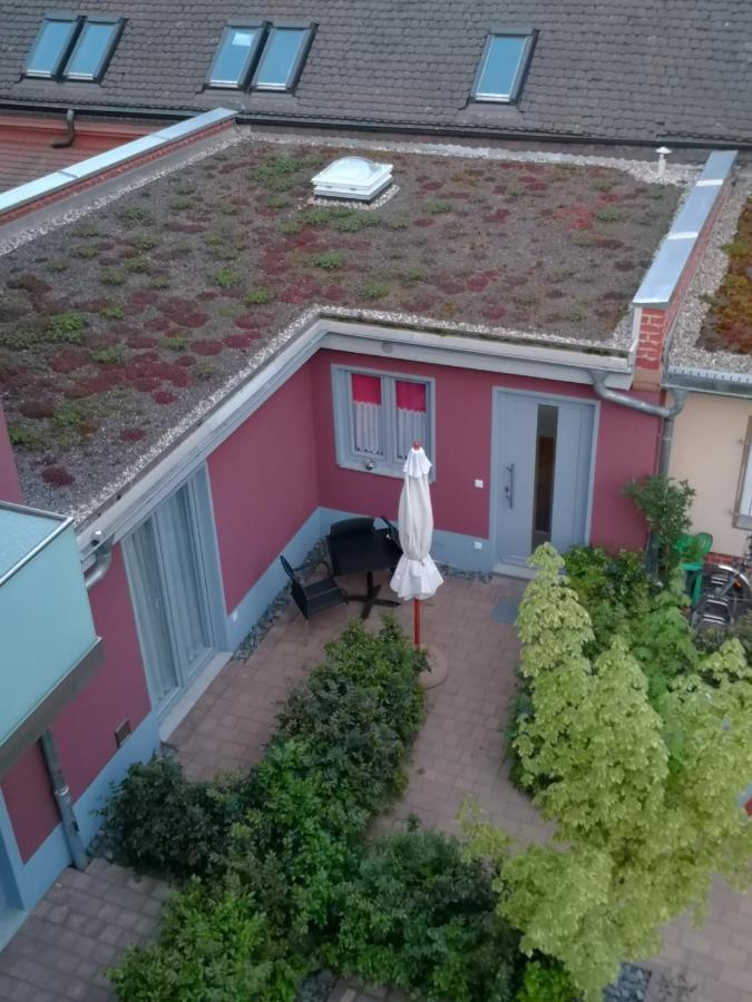 Kleines Feines Ferienhaus Im Herzen Von Dresden Appartement Buitenkant foto